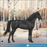 Horse Color:Black Frame
