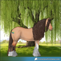 Horse Color:Bay Dun Tobiano 