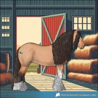 Horse Color:Bay Dun Tobiano 