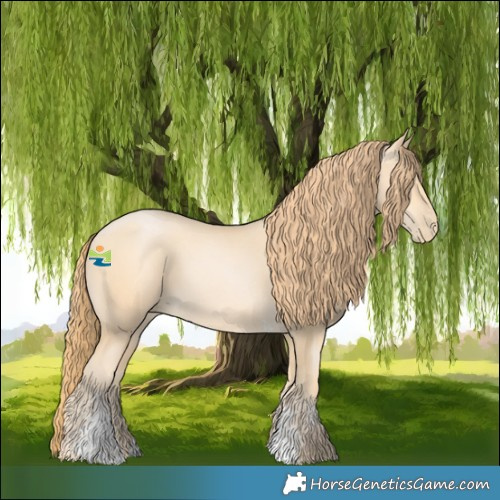 Horse Color:Buckskin Pearl Sabino 