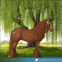 Horse Color:Gray Chestnut 