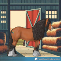 Horse Color:Bay Tobiano Frame