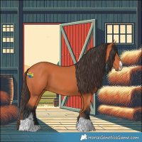 Horse Color:Bay Tobiano Frame 