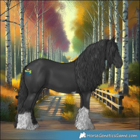 Horse Color:Black Tobiano 