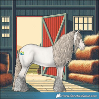 Horse Color:Smoky Creme Roan Dun 