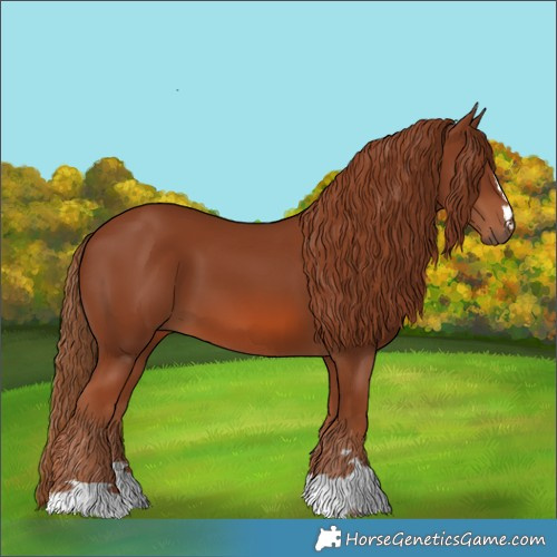 Horse Color:Chestnut 