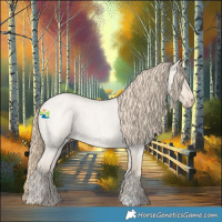 Horse Color:Smoky Creme Roan Dun 