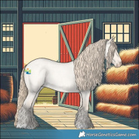Horse Color:Perlino Roan Dun 