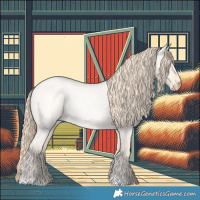 Horse Color:Perlino Roan Dun