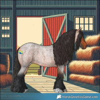 Horse Color:Brown Roan 
