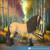 Horse Color:Buckskin Dun 