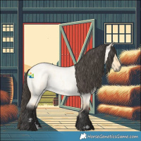 Horse Color:Buckskin Roan Dun