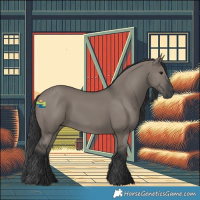 Horse Color:Grullo Rabicano