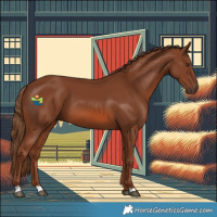 Horse Color:Chestnut 