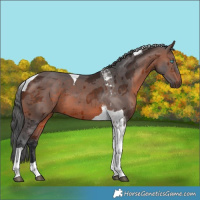 Horse Color:Brown Merle Tobiano 