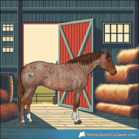 Horse Color:Red Roan Tobiano 
