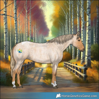 Horse Color:Red Roan Tobiano 