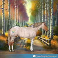 Horse Color:Red Roan Tobiano