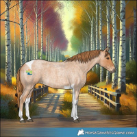 Horse Color:Red Roan Tobiano 