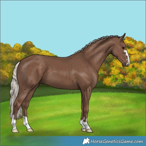 Horse Color:Silver Black 