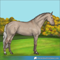 Horse Color:Silver Grullo