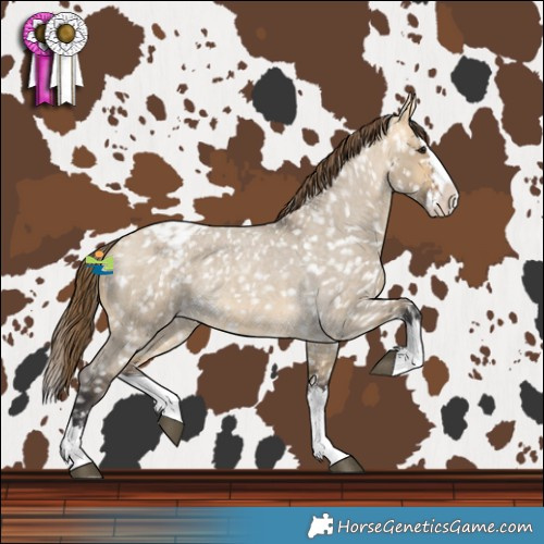 Horse Color:Buckskin Roan Dun Sabino Splash Snowflake Varnish 