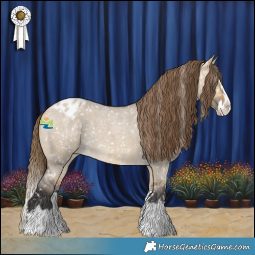 Horse Color:Buckskin Roan Dun Sabino Splash Appaloosa 
