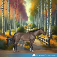 Horse Color:Brown Dun Tobiano 