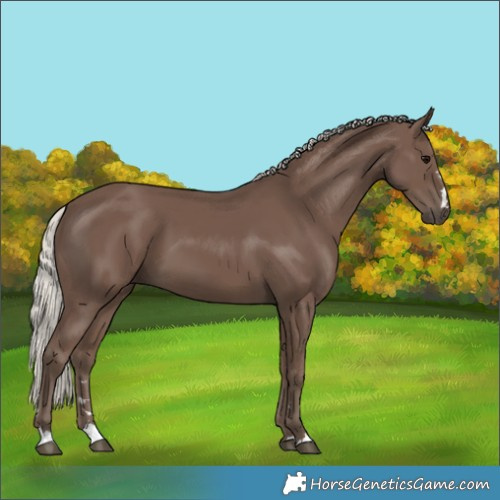Horse Color:Silver Black 