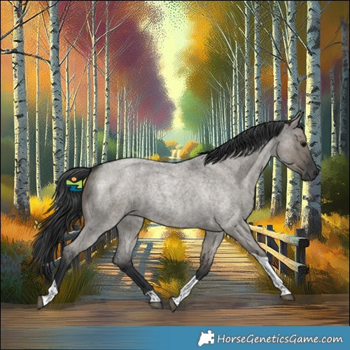 Horse Color:Grullo Roan Tobiano 