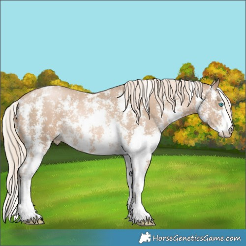 Horse Color:Chocolate Palomino Pearl Sabino 