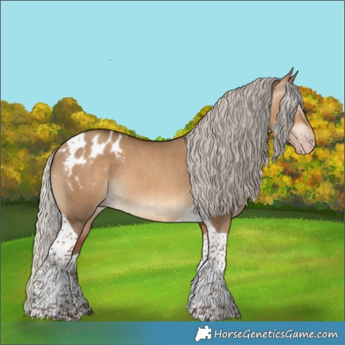 Horse Color:Gray Silver Amber Champagne Dun Tobiano Appaloosa