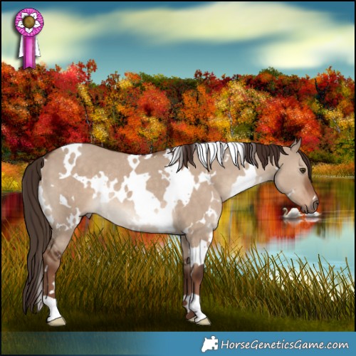 Horse Color:White Spotted Liver Red Dun Rabicano