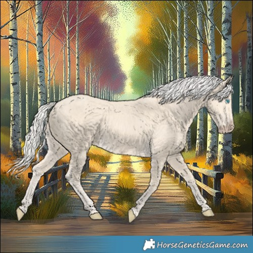 Horse Color:Cremello