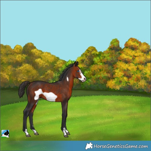 Horse Color:Brown Frame