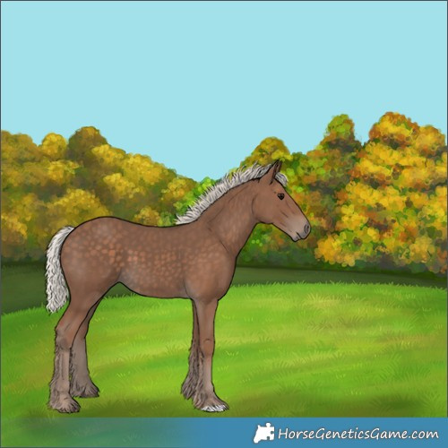 Horse Color:Silver Black