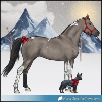 Horse Color:Grullo Tobiano Rabicano 