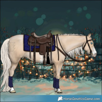 Horse Color:Palomino Pearl Sabino 