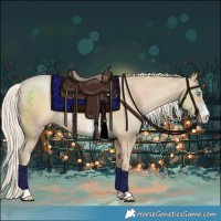 Horse Color:Palomino Pearl Sabino