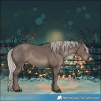 Horse Color:Silver Black 