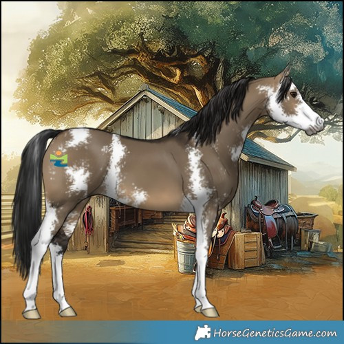 AVR Yakima Raven 2B | HorseGeneticsGame.com