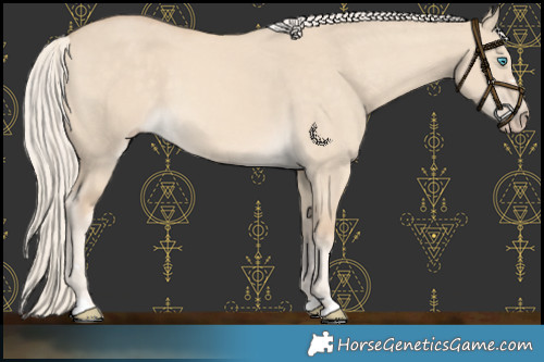 Horse Color:Cremello Dun 