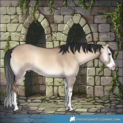 Horse Color:Liver Red Dun Onyx Splash 