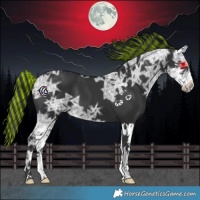 Horse Color:Painted Black Ice Splash 