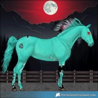Horse Color:Watercolor Black Tobiano 