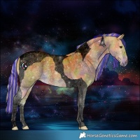 Horse Color:Void Painted Nacre Palomino Tobiano 