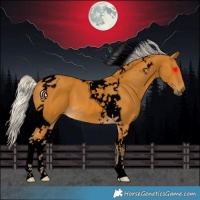 Horse Color:Void Silver Buckskin Tobiano 