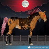 Horse Color:Void Painted Silver Buckskin Tobiano