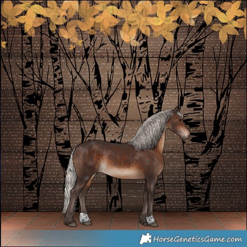 Horse Color:Silver Brown Rabicano 