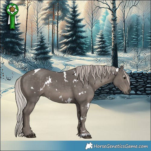 Horse Color:White Spotted Silver Black 